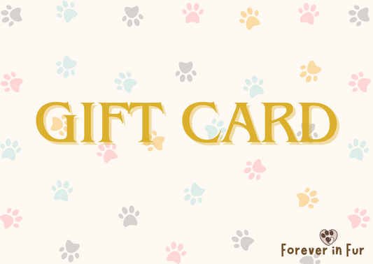 The Perfect Gift of Comfort & Choice: Forever in Fur E-Gift Cards