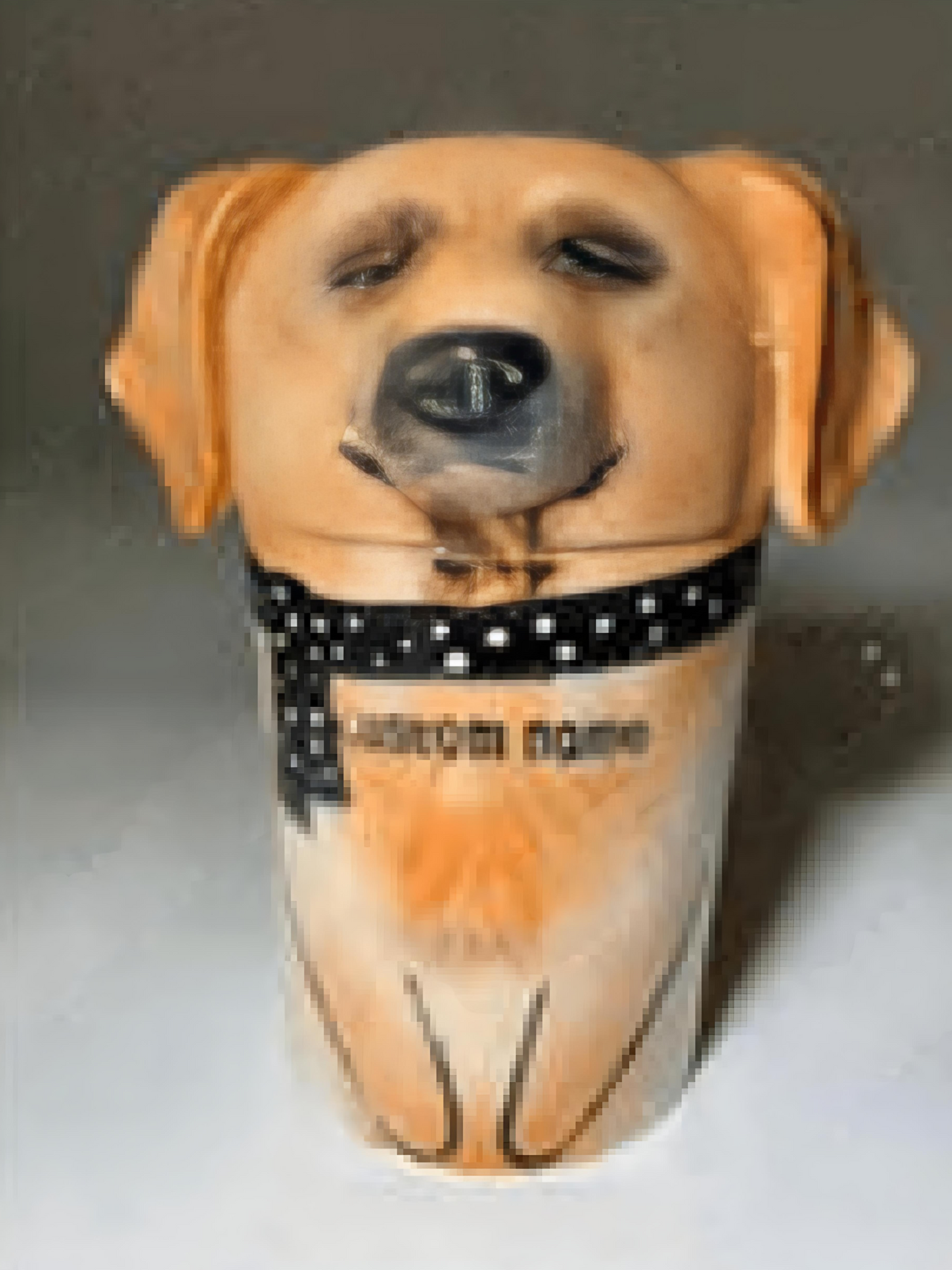 Creative Hand-Painted Dog Memorial Urn – Unique Artistic Tribute (Custom Portrait & Text, 3 Sizes)
